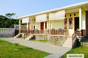 Penginapan Pondok Ciantir Sawarna